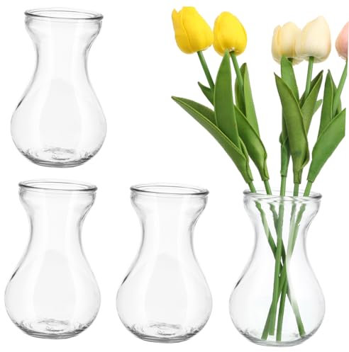 GRIRIW 4 Stück Glas Hyazinthenvase Hydrokultur Pflanzer Klar Dekorativer Blumenbehälter Für Büro Und Zuhause