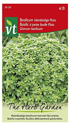 Pluto Piccolo Basilico a Foglia - Basilico nano con fogliame fine, molto aromatico Semi