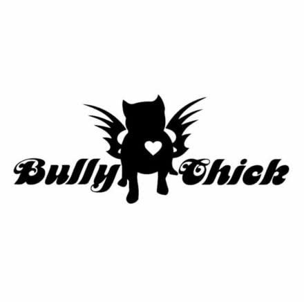 GAETOYEN Autoaufkleber Hund Personalisiert 17 X 6,8 cm Bully Chick American Bully Pitbull Mom Vinyl-Fenster-Autoaufkleber, Schwarz/Silber Css1A3258