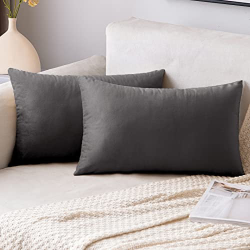 EMEMA Samt Kissenbezug Kissenhülle Dekorative Dekokissen Sofakissen Lendenkissen Wurfkissenbezug mit Verstecktem Reißverschluss Schlafzimmer Sofa 2er Set 40x60 cm Dunkelgrau