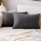 EMEMA Samt Kissenbezug Kissenhülle Dekorative Dekokissen Sofakissen Lendenkissen Wurfkissenbezug mit Verstecktem Reißverschluss Schlafzimmer Sofa 2er Set 40x60 cm Dunkelgrau