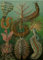 Schwagebo Nature Artworks by Ernst Haeckel Poster 1000 Piece Wooden Puzzle for Adults Children Educational Toys Hf153Ta