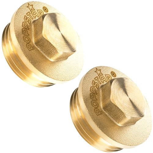 Poppstar Messing Blindstopfen 1 Zoll Außengewinde (BSP G 1 (33,3mm), bis 50bar, 19mm Sechskant), 2 Stück