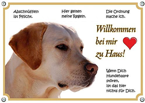 Hundeschild - Labrador Retriever - Willkommen bei Mir zu Haus - wetterfestes Metallschild, DIN A5