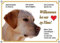 Hundeschild - Labrador Retriever - Willkommen bei Mir zu Haus - wetterfestes Metallschild, DIN A5