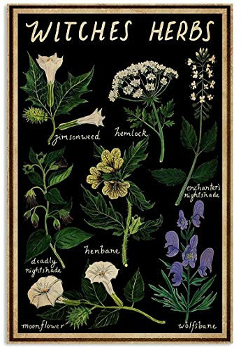 Black Witches Herbs,12 * 8 Inches Vintage Funny Poster Wall Decor Art Gift Retro Picture Metal Sign