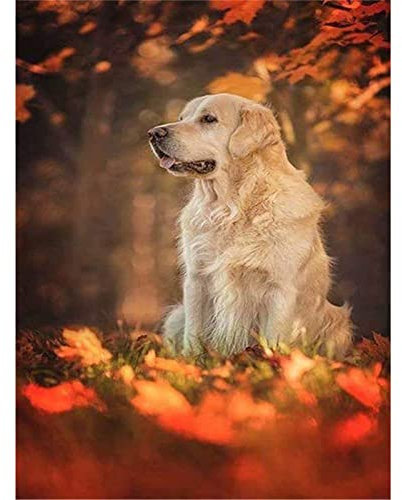 YSCOLOR Diamond Painting Stickerei Diy Diamant Malerei Hund und Tote Blätter Diamant Mosaik Komplett Rund 5D Diamant Malerei Golden Retriever Rahmenlos 30 x 40 cm