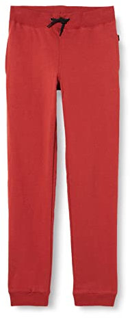 NAME IT Jungen NKMSWEAT Pant UNB NOOS Trainingshose, Chili Oil, 116