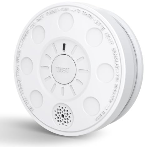 ZYTA Smoke Alarm for home,Fire Smoke Detector with 5-year Replaceable Battery,TEST/MUTE Button,LED Indicator,Battery Powered,1901(1 Pack)