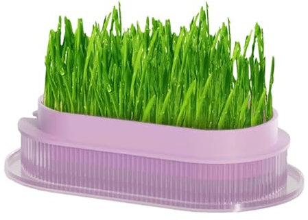 Generico Jardinera para gato, maceta para gato - Macetero para cultivo de gatos | Jardinera segura para gatos, bañera transparente para gatos de interior