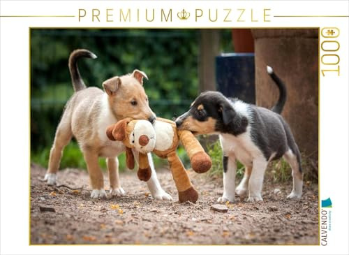 CALVENDO Puzzle Kurzhaarcollie-Welpen | 1000 Teile Lege-Größe 64 x 48 cm Foto-Puzzle für glückliche Stunden
