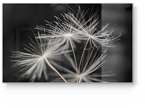 DEQORI Frühstücksbrett Glas | klein 23x14 cm | Motiv Samen der Pusteblume | Design Schneidebrett für Küche | Frühstücksbrettchen antibakteriell & rutschfest | Glasplatte & Servierplatte