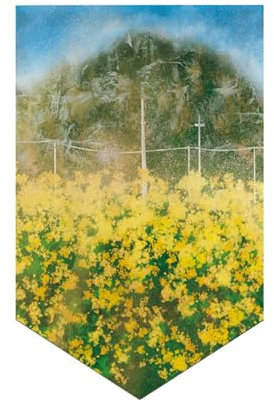 Hiseng Japanese Noren Curtain Short, Japanese Doorway Short Curtain Cotton Linen Japanese Style Doorway Curtain Door Tapestry for Sushi Restaurant Kitchen Home Decoration (40x60cm,Village 7)