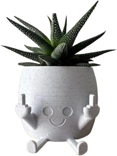 Carroterr - Pot de fleurs souriant avec majeur vers le haut, pots de fleurs amusants pour plantes d'intérieur, Blanc, Taille unique