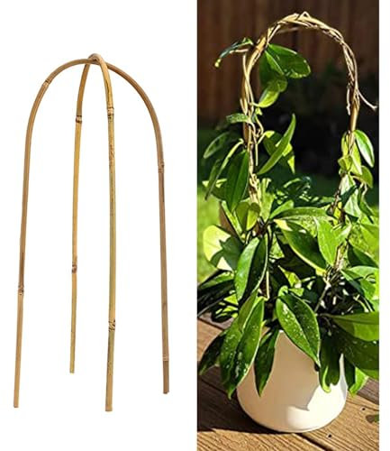 Natürliches Bambus-Pflanzenspalier, handgefertigte Bambus-Gitterstäbe für den Garten, für Topfpflanzen, Kletterblumen und Weinreben, Efeu, Pflanzen im Freien – 2er-Set (Farbe: Natur, Größe: 12 OCM/4