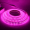 XUNATA Doppelreihe Rosa LED Strip Streifen, 220V 2835 SMD 180leds/m IP65 Wasserdicht, Flexibel LED Lichtband Seil Licht Schlauch für Hausbeleuchtung Dekor Bar (Rosa, 18M)