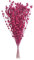 MSUIINT 100 PC Rose Red Artificial Glitter Berry Stem Ornaments,Artificial Stems Christmas Tree Decorations Beads Garland for DIY Bride Bouquet Wedding Party Decor Table Centerpiece,15.7in