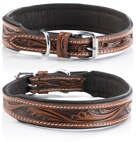 Jack & Russell Leder Hundehalsband, Hand-gefertigt & gepolstert – Halsband kleine und mittelgroße Hunde aus Büffelleder, Lederhalsband dunkel-braun Talia (M (31,5-42,0cm)
