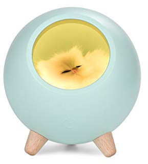 Fantes Creative Little Cat Pet House Night Light Kitten Bedside Sleeping Nursery Light USB Rechargeable Touch Dimmable Atmosphere Light for Baby Child Birthday Party Gift Home Decor (Green House)