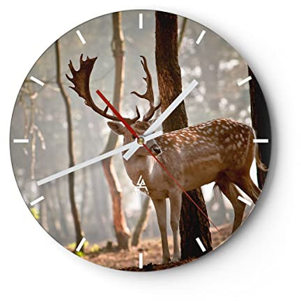 Modern Wanduhr Kitz Hirsch Tier wild 30x30cm Rund Klein Wand Uhr Glas Analog Zimmeruhren Küche Büro Wohnzimmer Glasuhr Wall Clock Dekoration Design Wanddekoration Küchenuhr C3AR30x30-2400