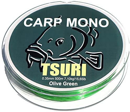 Filo di pesca carpa treccia nylon testa linea trasparente ultra resistente monofilamento (Nylon, 500 m - 35/100-7,10 kg)