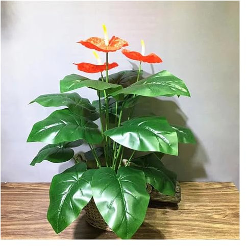 OXGQDTDQ MIUYTRN 70CM 18Fork Künstliche seltene Anthuriumblume Indoor-Grünpflanzen Tropische gefälschte unsterbliche Blume Wohnzimmer Büro Home Decor cuicui