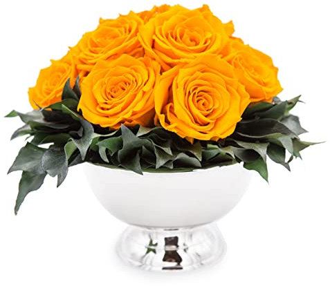 ROSEMARIE SCHULZ Heidelberg Infinity Blume in silberfarbenen Becher ewige Rose konserviert Blumenstrauß langhaltend (Gelb, 11 Rosen)