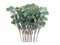 Anlising 15 Piezas Planta de Eucalipto Artificial, Hojas de Eucalipto Artificiales, Ramas de Eucalipto, Eucalipto Artificial Plata, para Decoración Bodas, Jardín, Hogar, Interiores y Exteriores(Verde)