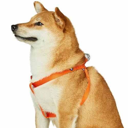Blueberry Pet Essentials 2022 New Classic Durable Solid Nylon Step-in Hundegeschirr, Brustumfang 66 cm - 99 cm, Orange Zinnoberrot, groß, verstellbare Geschirre für Welpen, Jungen, Mädchen, Hunde