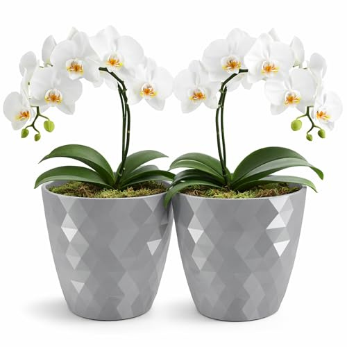 PECZEKO glänzender Blumentöpfe, Kunststoff-Pflanzentöpfe, dekorativer Blumentopf für große und kleine Blumen, 2er-Set Blumentöpf, Pflanztopf, Kräutertopf, (2 Pack) Grau, ø 20 cm