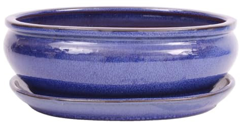 Bonsai-Shopping Bonsai - Schale oval 26 x 20 x 9.5 cm mit Untersetzer blau 31129