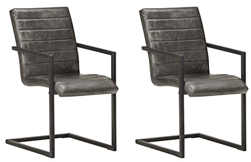 vidaXL Freischwinger 2 STK. Grau Echtleder