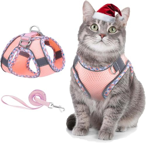 ORIA Katzengeschirr mit Leine Ausbruchsiche für Kitten, Hunde (XXS), Rosa | Verstellbares Katzen Harness Geschirr mit Reflektierenden Streifen, Atmungsaktivem Mesh, für Katzen Welpen
