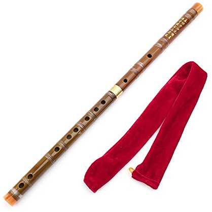 Flûte en bambou professionnelle bois chinois CDEFG clé flûte traversière DiZi (Color : F)