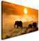 Paul Sinus Art GmbH Familie von Elefanten 120x 50cm Panorama Leinwand Bild XXL Format Wandbilder Wohnzimmer Wohnung Deko Kunstdrucke