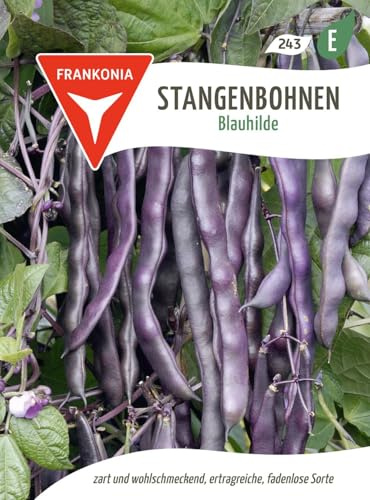 FRANKONIA® Blaue Stangenbohne fadenlos kletternd, Blauhilde, Bohnen Samen lila Gemüse-Samen (Phaseolus vulgaris)