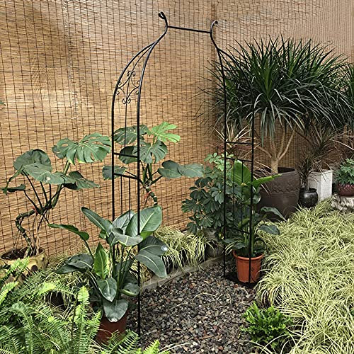 MENG Freistehend Rosenbogen Aus Metall Torbogen Rankhilfe Spalier Gartenbogen Für Kletterpflanzen Wetterfest Weiß Schwarz Rostfrei Breite 80cm 120cm