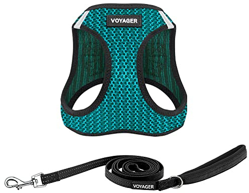 Best Pet Supplies Voyager Step-In Air Allwetter-Netzgeschirr und reflektierender Hundeleine, 1,5 m, mit Neoprengriff, für kleine, mittelgroße und große Hunderassen, Türkis (zweifarbig), XS