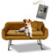Rohrschneider Hundesofa San Diego Samt mit Zierkissen und Hundekotbeutelset - Stilvolles Design & Komfort für mittlere und große Hunde (Senffarben)