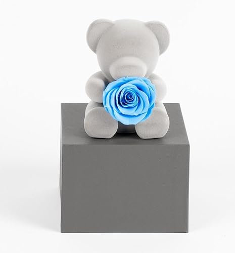 Ours rose éternel pour cadeau de naissance, anniversaire, Saint-Valentin (bleu)