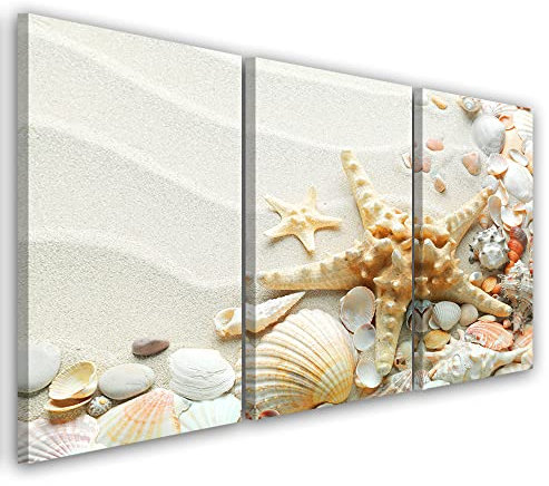 Feeby 3-teilig Leinwandbild 60x30 cm Strand Seesterne Muscheln Bild Kunstdruck Wand Bild Kunstdruck Wohnzimmer Wohnungs Deko Sand Maritimes Motiv Beige
