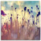 Pixxprint Glasbild, Wandbild auf Echtglas, Mohn im Weizenfeld, 40x40 cm, inkl. Aufhängung und Abstandshalter