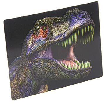 Unbekannt 3 D Magnet T Rex Kopf 9x7cm Kühlschrankmagnete Tiere Dinosaurier Tyrannosaurus