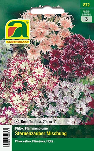 Flammenblume, Sternenzauber Mischung