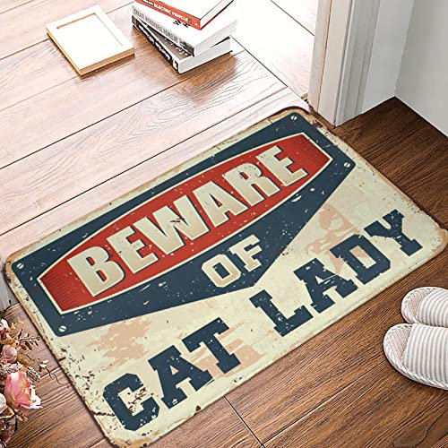 Welcome-Ish Door Mat Beware of Cat Lady Mat Welcome Home Door Mat Funny Door Mats Outdoor ( Size : 65X90CM )