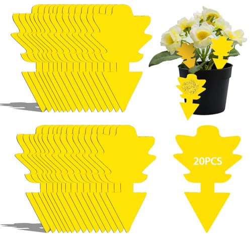 COMPOLICY 20 PCS Fruit Fly Traps and Fungus Gnat Killer for Outdoor and Indoor Plants Double-Sided Sticky Fly Catcher Efficient Pest Control Water-Resistant Adhesive Design for Plants Kitchen Home