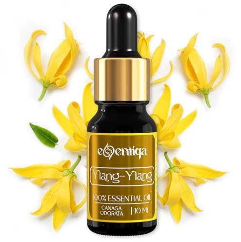 Ylang-Ylang-Öl – für Parfüm & Kosmetik – Premium ätherisches Öl & Duftöl, 100% naturrein, hochkonzentriert – für Kerzen, Seifen & Aroma Diffuser – blumig, balsamisch, süß – aus Madagaskar – 10 ml