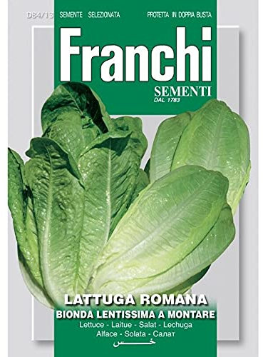 Semi Lattuga Romana Bionda Lentissima a Montare Insalata Franchi Sementi 6g