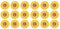 24 STK Bestickter Aufnäher Mit Sonnenblume Und Pailletten Blumenbeete Nähen Pailletten Aufbügeln Kleidung Mit Blumenapplikationen Stickerei-applikationspatch Gestickt Stoff Banner