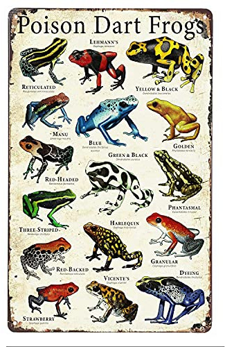 UOAIUDT Poison Dart Frogs Metall Poster Wandschild Blechschild Retro Vintage Wandkunst Dekor Geschenk Zuhause Wohnzimmer Esszimmer Büro 30,5 x 40,6 cm